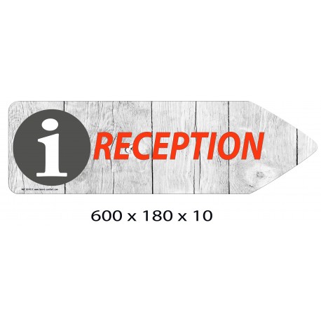 FLECHE SIGNAL RECEPTION DIRECTIONNEL - 600 X 180 X 10