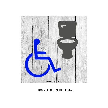 LOGO PORTE WC HANDICAPE - 100 X 100 X 3